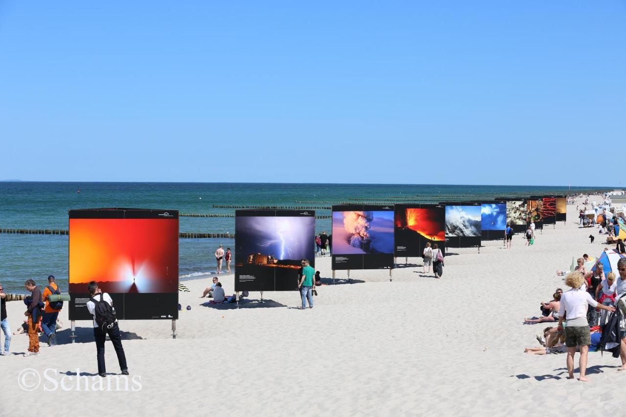 Ostseelagune Zingst, Exklusive Dhh, Strandnah, Sauna, Kamin, 3 Sz, 2 Baeder, Glasfaser, Haustierfrei, Garten Mit Suedterrasse, E-Ladesaeule, 2 Stellplaetze, Strandkorb, Fahrradschuppen, Waschmaschine, Trockner, Nichtraucher Kültér fotó