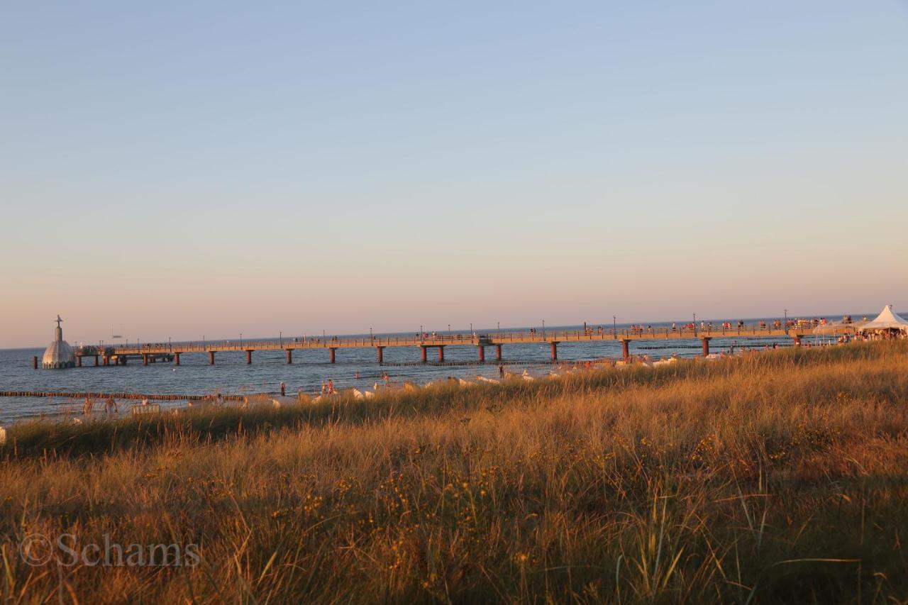 Ostseelagune Zingst, Exklusive Dhh, Strandnah, Sauna, Kamin, 3 Sz, 2 Baeder, Glasfaser, Haustierfrei, Garten Mit Suedterrasse, E-Ladesaeule, 2 Stellplaetze, Strandkorb, Fahrradschuppen, Waschmaschine, Trockner, Nichtraucher Kültér fotó