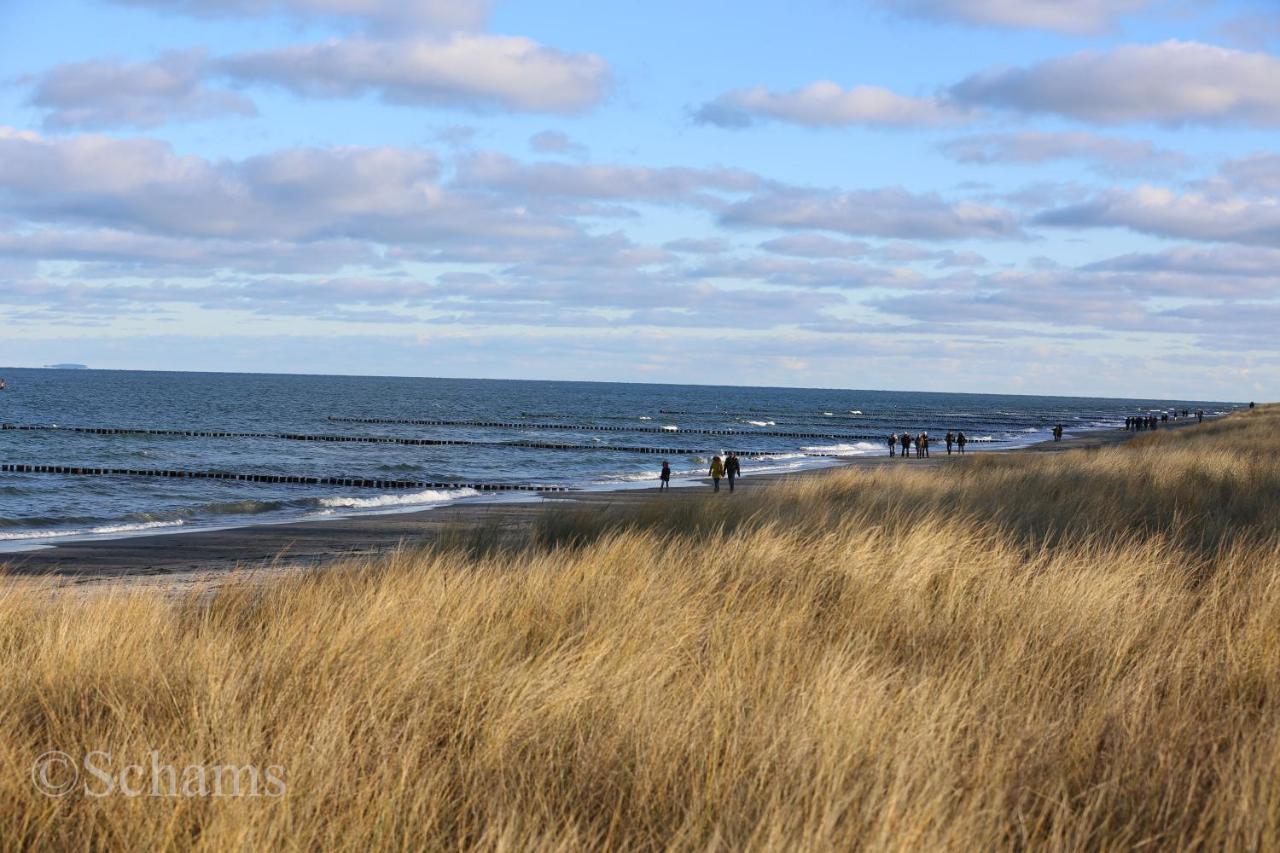 Ostseelagune Zingst, Exklusive Dhh, Strandnah, Sauna, Kamin, 3 Sz, 2 Baeder, Glasfaser, Haustierfrei, Garten Mit Suedterrasse, E-Ladesaeule, 2 Stellplaetze, Strandkorb, Fahrradschuppen, Waschmaschine, Trockner, Nichtraucher Kültér fotó
